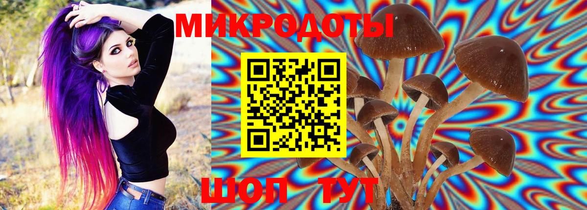 Великий Новгород  Псилоцибиновые грибы прущие грибы  Вход с VPN 